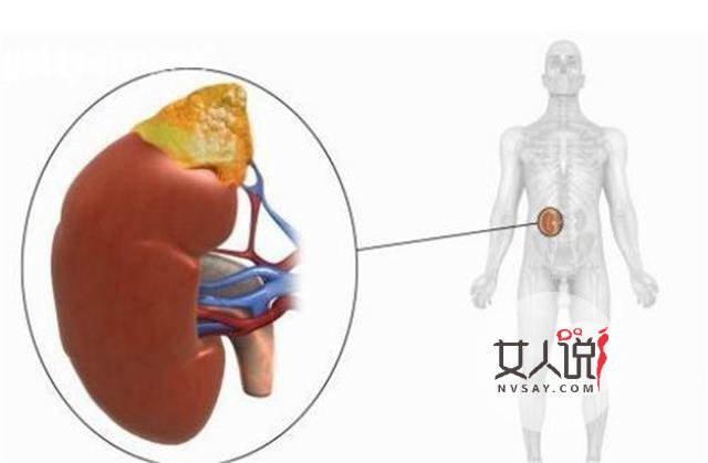 肾炎的早期症状在这里，有情况赶快治疗！