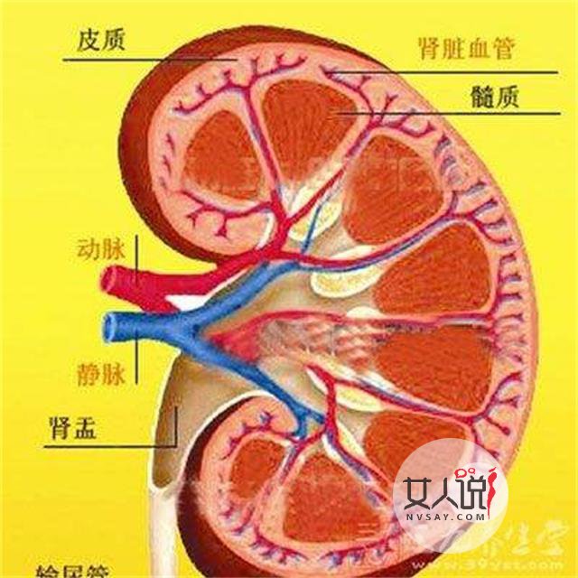 肾炎的早期症状在这里，有情况赶快治疗！