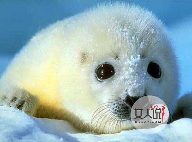 体温35.5正常吗？医学常识学起来！