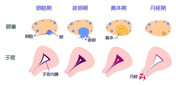 女人再不管好大姨妈 将导致妇科重症疾病