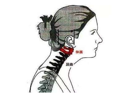 女性总是便秘怎么办,5种食物帮你接触便秘痛苦