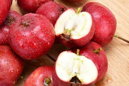 胃胀气不消化怎么办快速解决？这四个食物多吃给胃消消气
