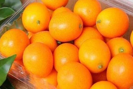 扁桃体发炎吃什么食物？这四个食物疼痛消失得更快