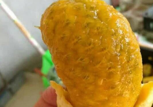 脆芒果叫什么品种 外形像芒果一样的水果有哪些