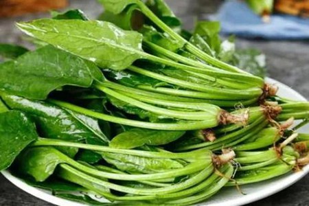 胆结石吃什么最好？（这五个食物食用身体康复更快）
