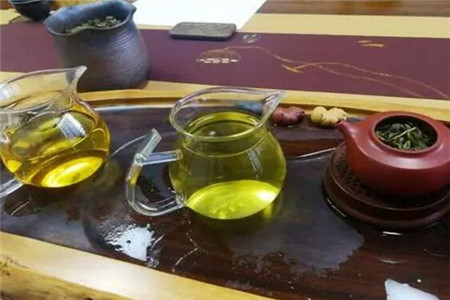 春季怎么喝茶养生，五大坑不要踩
