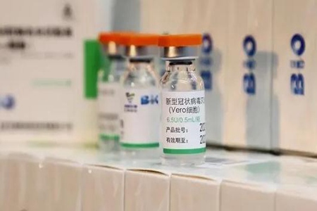 国药“新”疫苗效果如何？ 网友：我想接种