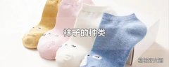 袜子的种类