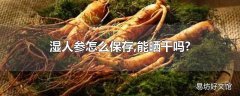 湿人参怎么保存,能晒干吗?