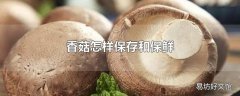 香菇怎样保存和保鲜