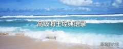 高级海王经典语录