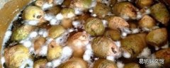腌菜上面有白色东西是什么原因