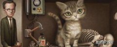 薛定谔的猫网络含义