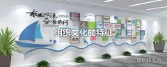 组织文化的特征