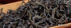 凤凰单丛是什么品种的茶