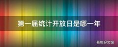 第一届统计开放日是哪一年