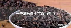 一斤酒放多少丁香山奈泡