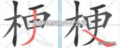 佐伊玩家除外什么梗