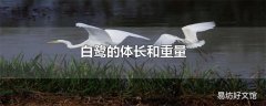 白鹭的体长和重量