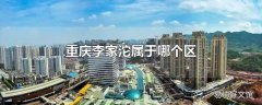 重庆李家沱属于哪个区