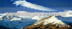 青藏高原的面积大约是250万什么单位