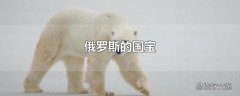 俄罗斯的国宝