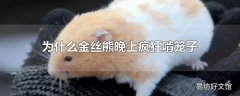 为什么金丝熊晚上疯狂啃笼子