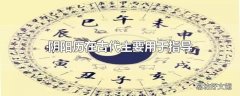 阴阳历在古代主要用于指导