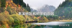 本溪地区枫树多的原因