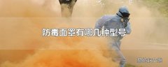 防毒面罩有哪几种型号