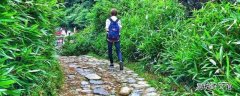 余姚古道有哪些