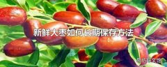 新鲜大枣如何长期保存方法