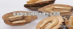 东北野生山核桃太硬怎么剥壳