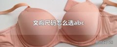 文胸尺码怎么选abc