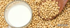 大豆蛋白是什么