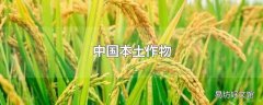 中国本土作物