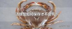 活螃蟹如何保存才不会死?