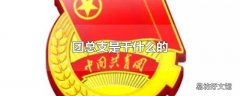 团总支是干什么的