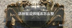 活螃蟹没绑绳该怎么整