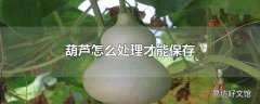 葫芦怎么处理才能保存