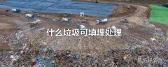 什么垃圾可填埋处理