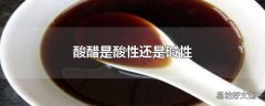 酸醋是酸性还是碱性