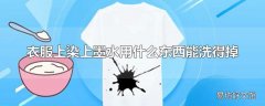 衣服上染上墨水用什么东西能洗得掉