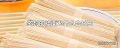 密封的挂面为什么会长虫