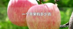 一个苹果有多少克