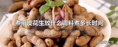 煮带皮花生放什么调料煮多长时间