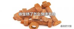 铁生锈了怎么快速去除