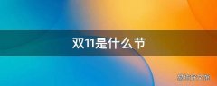 双11是什么节