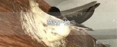 燕窝产地