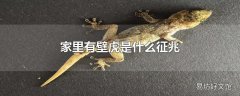 家里有壁虎是什么征兆